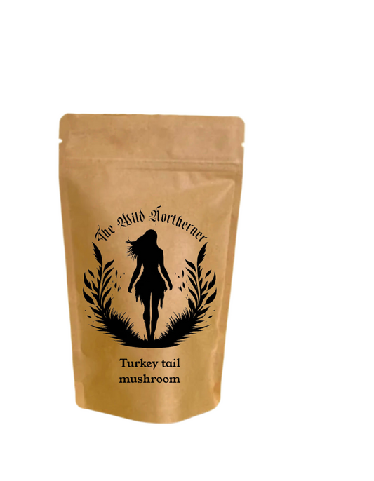 Organic Turkey tail mushroom powder