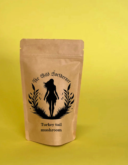 Organic Turkey tail mushroom powder